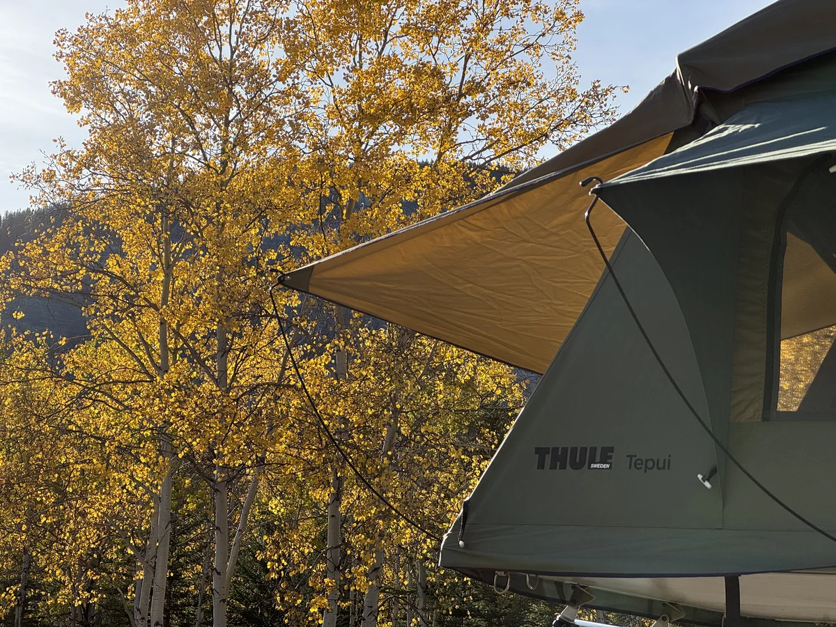 Golden fall aspens behind the Thule Tepui rooftop tent in the Alberta Rockies