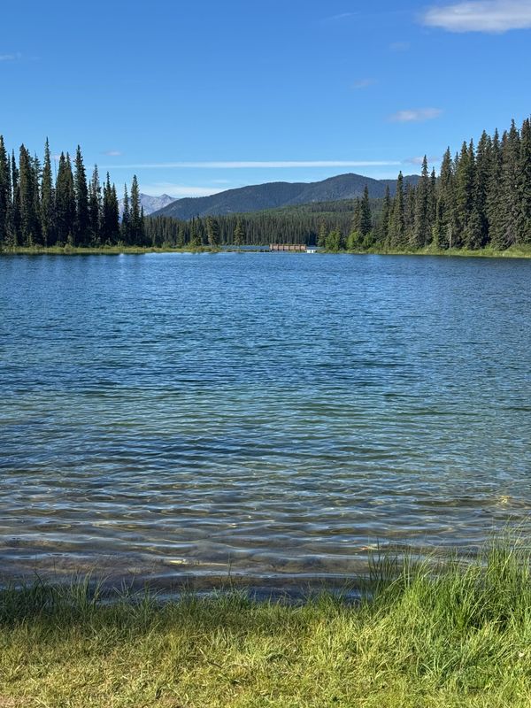 William A. Switzer Provincial Park Camping Guide