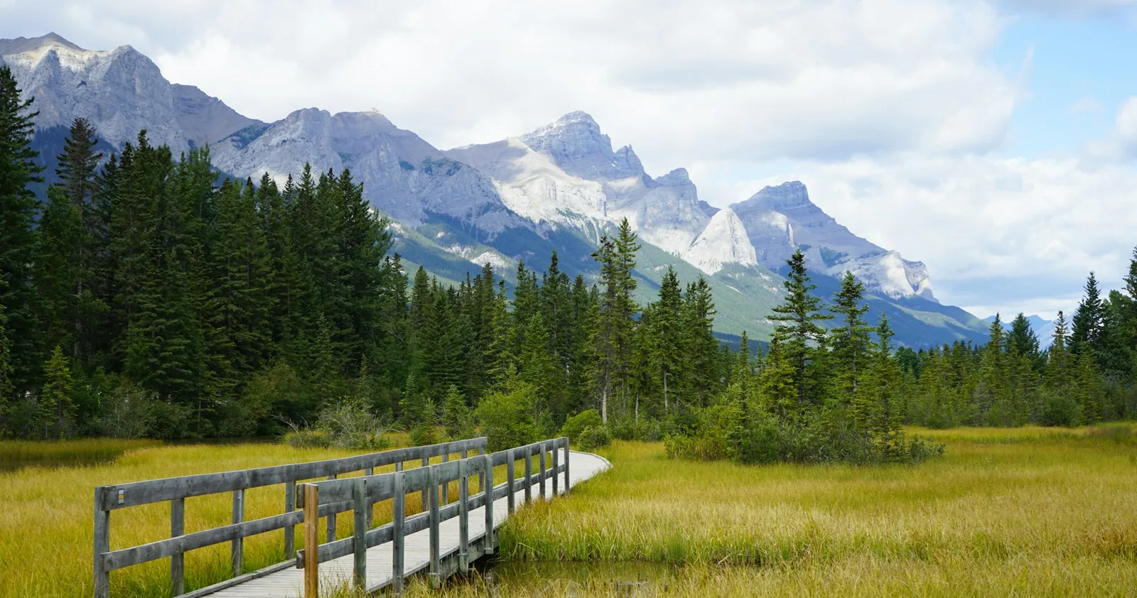 10 Kid-Friendly Hikes in Canmore