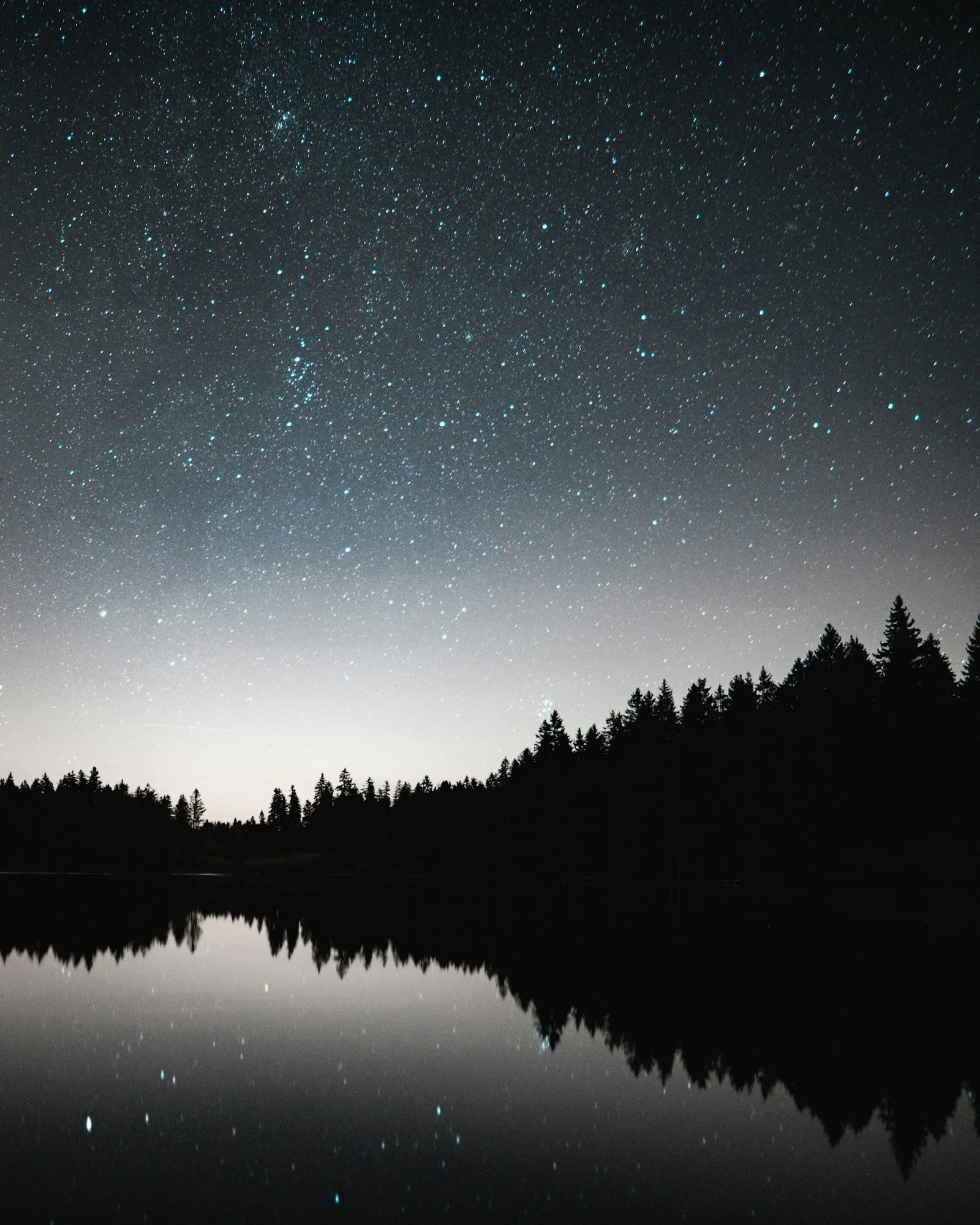 Miquelon Lake Provincial Park Camping Guide